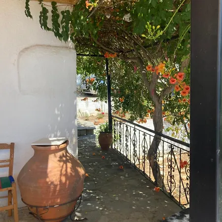 Lemon Garden With View